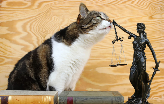 Droits des animaux : le Prix de Droit 2024 de la LFDA de retour pour une nouvelle édition